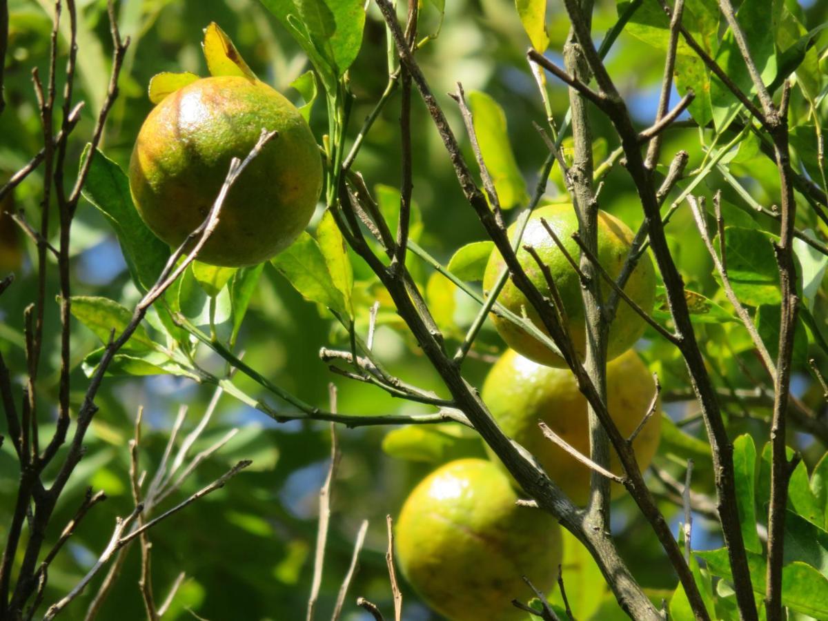 Pousada Biso Finoca Ibiraquera Imbituba Kültér fotó